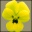 Petal Palace (for Windows) icon